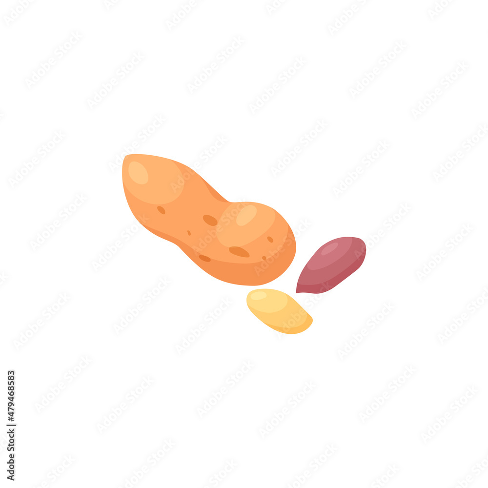Whole peanut in a shell and seeds from opened nut. Sketch cartoon vector illustration. Groundnut icon, isolated. Whole peanut in a shell and seeds from opened nut. Sketch cartoon vector illustration. Groundnut icon, isolated.