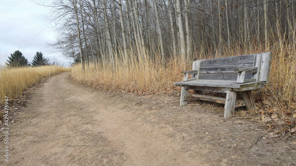 bench in the fog