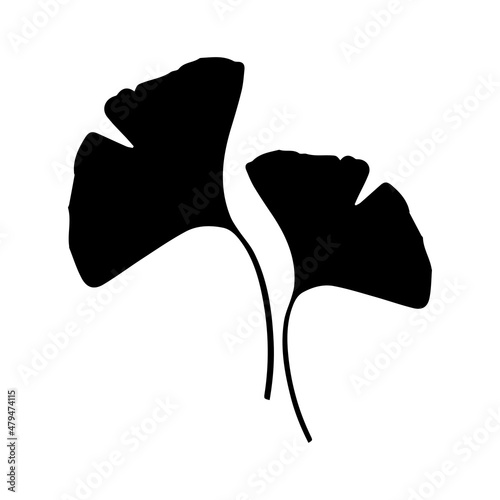 Ginko icon. Black silhouette of two leaves. The sacred tree of China. Ginko is a genus of deciduous gymnosperm relict plants of the Ginkgo class, a living fossil. Vector illustration isolated.
