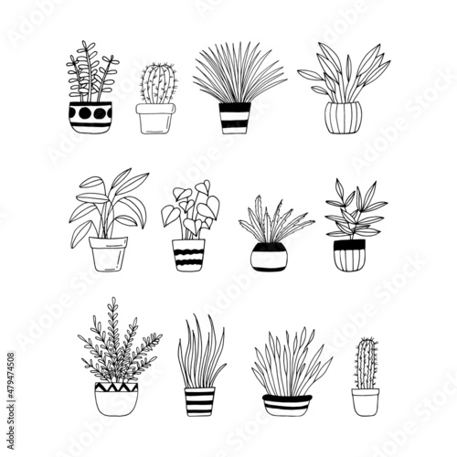 houseplants in pots set icon hand drawn. vector, minimalism, scandinavian, monochrome, nordic. sticker, plant, flowers.