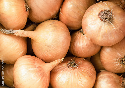 Obraz na plátně fresh yellow onion background close-up