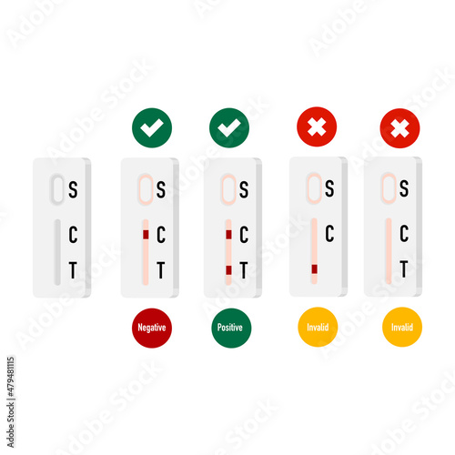 Rapid antigen Test interpretation illustration on transparent background.