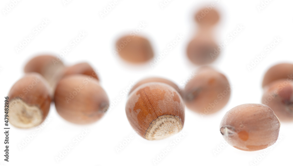 Hazelnuts isolated on a white background.