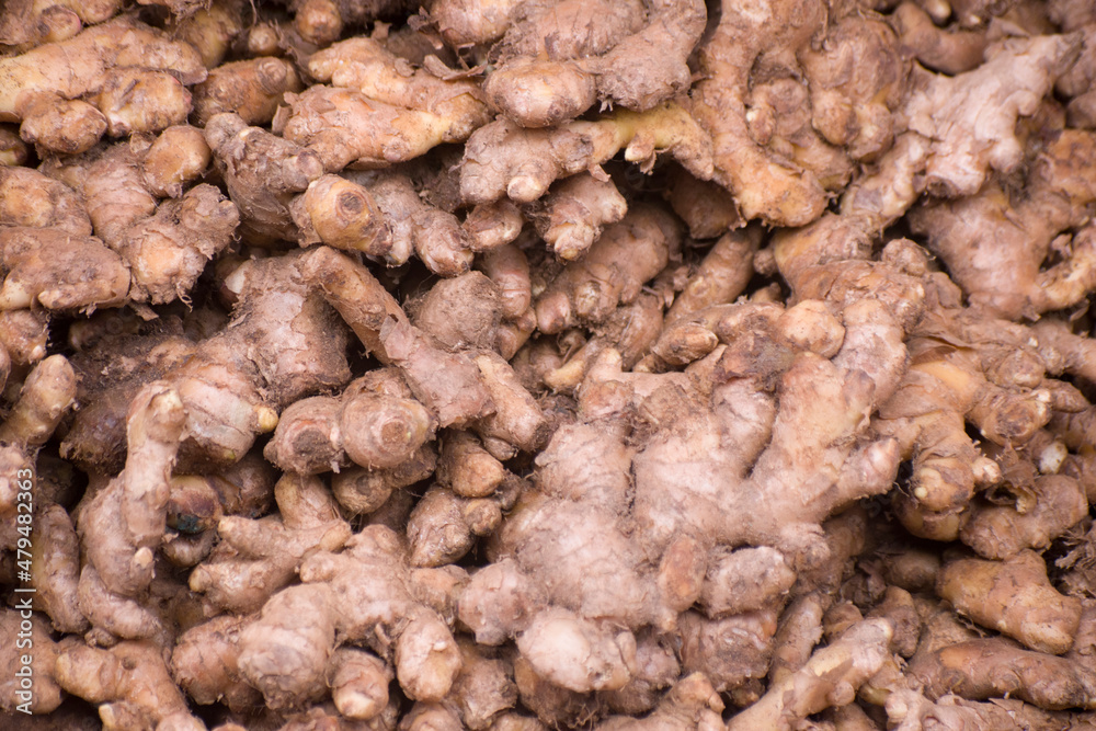 Heap of raw ginger roots in a market of bangladesh. Zingiber officinale.It is widely used as a spice and a folk medicine. Heap of raw ginger roots in a market of bangladesh. Zingiber officinale.It is widely used as a spice and a folk medicine.