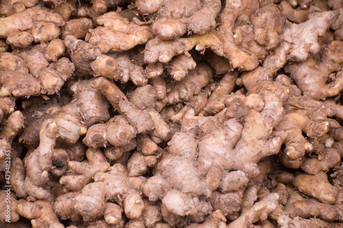 Heap of raw ginger roots in a market of bangladesh. Zingiber officinale.It is widely used as a spice and a folk medicine.