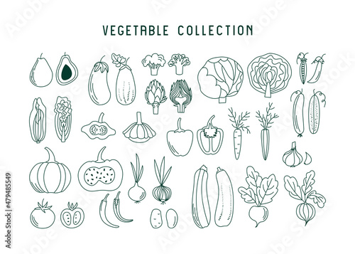Set of various vegetables in line art style. Vector illustration with avocado, cabbage, pepper, tomato, carrot, cucumber, and other plant food
