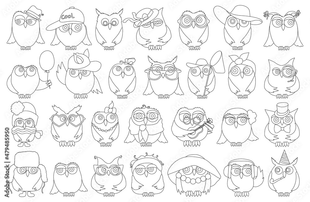 Owl vector outline set icon. Isolated outline set icon funny bird. Vector illustration owl on white background.