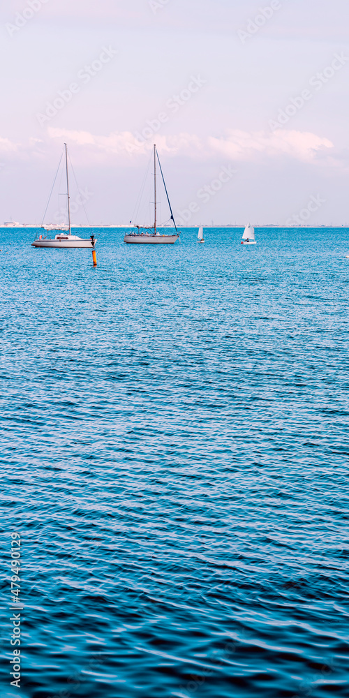 Obraz premium Sailboat harbor, many beautiful moored sail yachts in the sea port, modern water transport, summertime vacation.