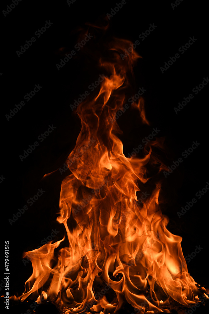 Fire flame. Burn lights on a black background. Fire flame. Burn lights on a black background.