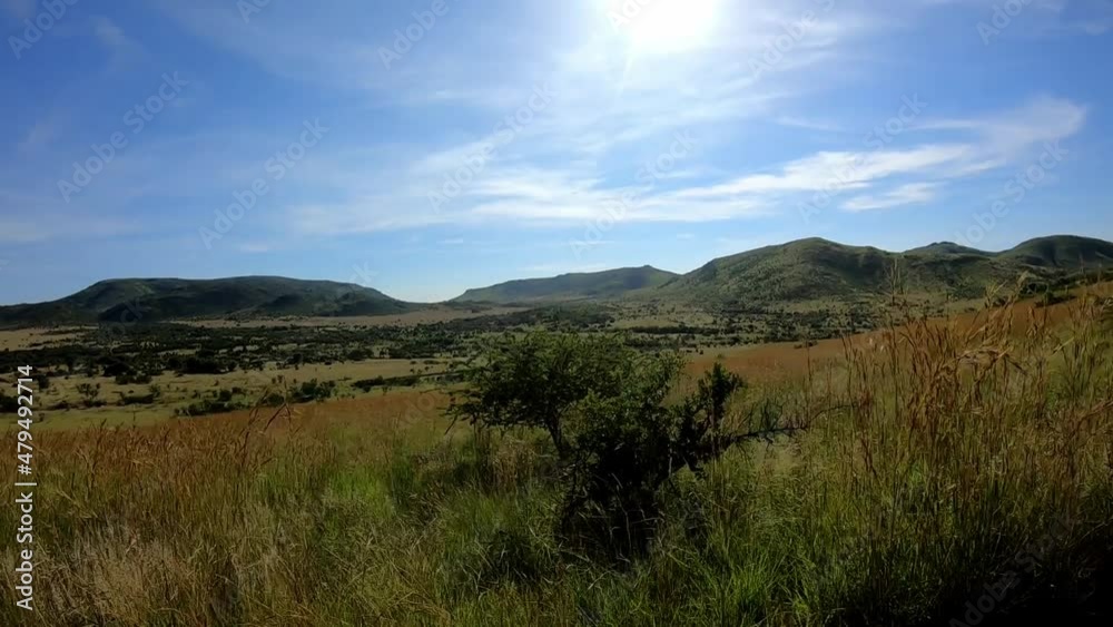 Looking out over a vast landscape while on Safari in Africa Looking out over a vast landscape while on Safari in Africa