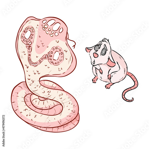 Hungry cobra snake getting ready to eat the mouse. Snake hypnotizing the rat rodent in anticipation of dinner. Cartoon comic style illustration, vector stock image