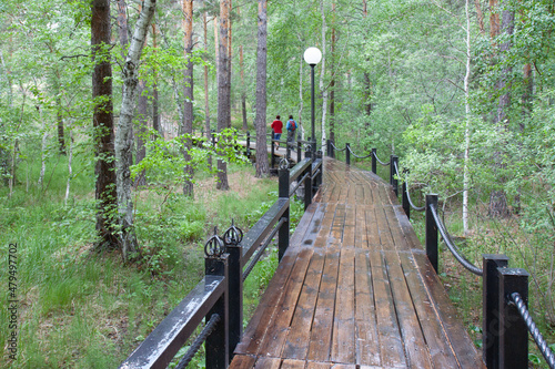 A pedestrian walking path amongst mixed forest after the rain. Burabay National Park, Aqmola Region, Kazakhstan. photo