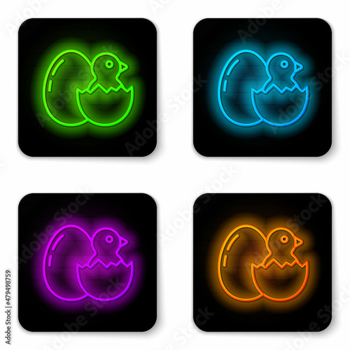 Glowing neon line Little chick in cracked egg icon isolated on white background. Black square button. Vector