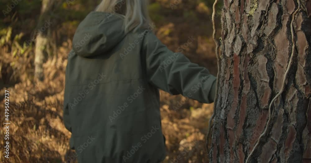 Rear view of blond girl hiking on the forest gently touching tree trunk, bark Rear view of blond girl hiking on the forest gently touching tree trunk, bark
