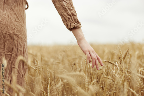 Woman hands countryside industry cultivation harvest