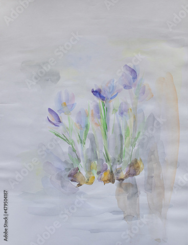 Crocuses on white snow fine art. Spring flowers. Young plant illustration. Pastel colors aquarelle. Laconic painting. Crumpled wet paper texture. Simple delicate artwork. Effortlessness concept.