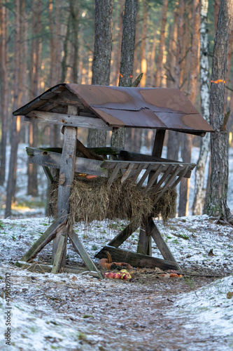 Paśnik, karmnik dla dzikich zwierząt zimą w lesie