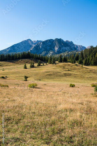 National park Durmitor Mountains in Montenegro. 