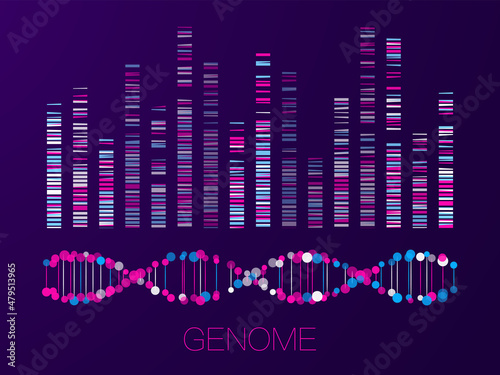 Big genomic data visualization
