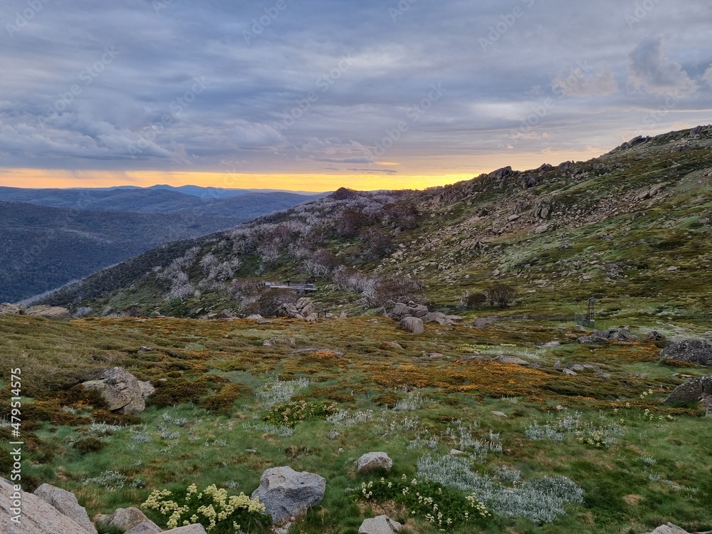 Kosciuszko national park in summer