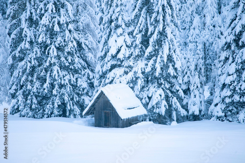 Kranjska Gora in Slovenia surroundings, winter landscape © Nino Pavisic