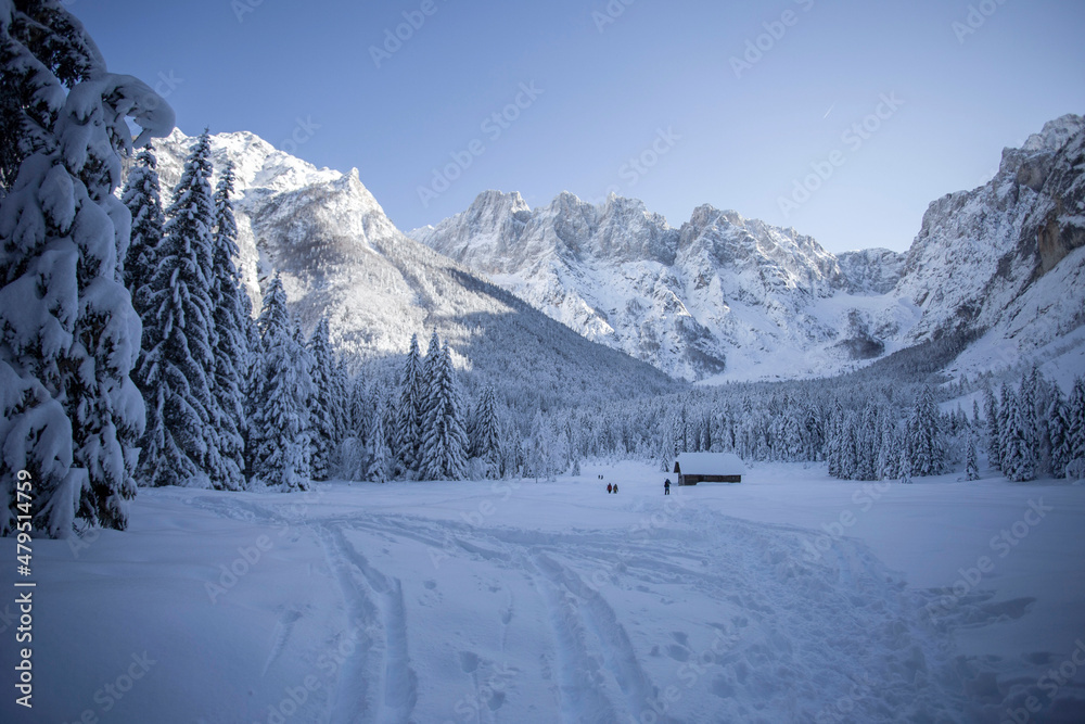 Kranjska Gora in Slovenia surroundings, winter landscape