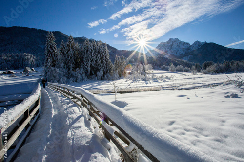 Zelenci - Sava river spring near Kranjska gora, Slovenia - winter landscape