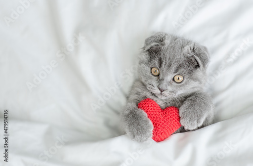 Playful kitten hugs red heart on a bed under warm white blanket. Valentines day concept. Top down view. Empty space for text