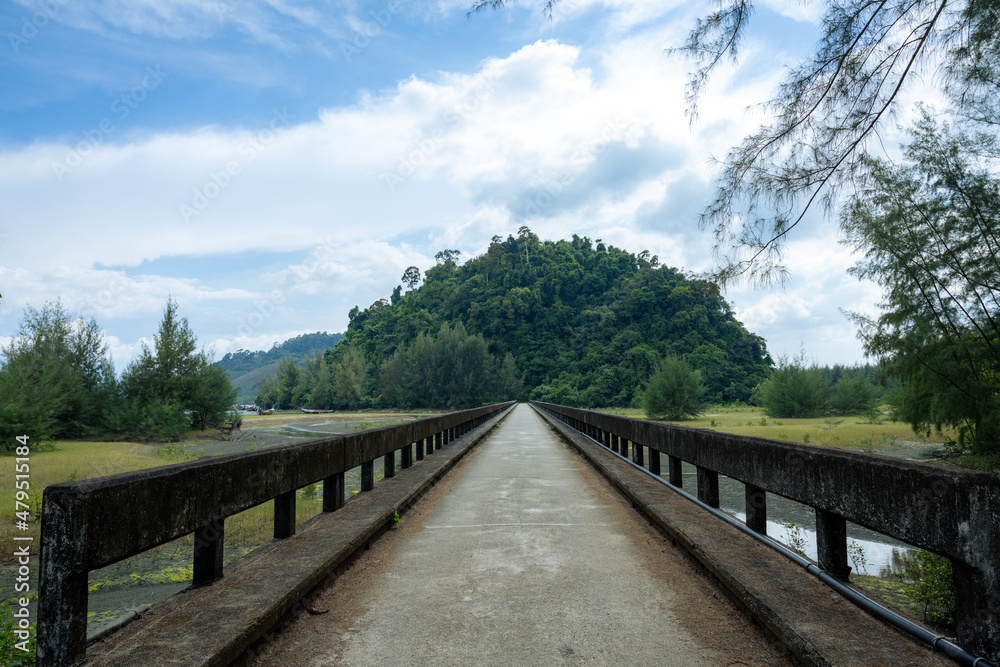Bridge over a mountain river in the forest at Laem Son National Park, Ranong, Thailand.