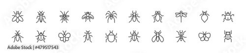 Set of simple insect line icons. photo