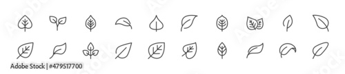Set of simple leaf line icons.