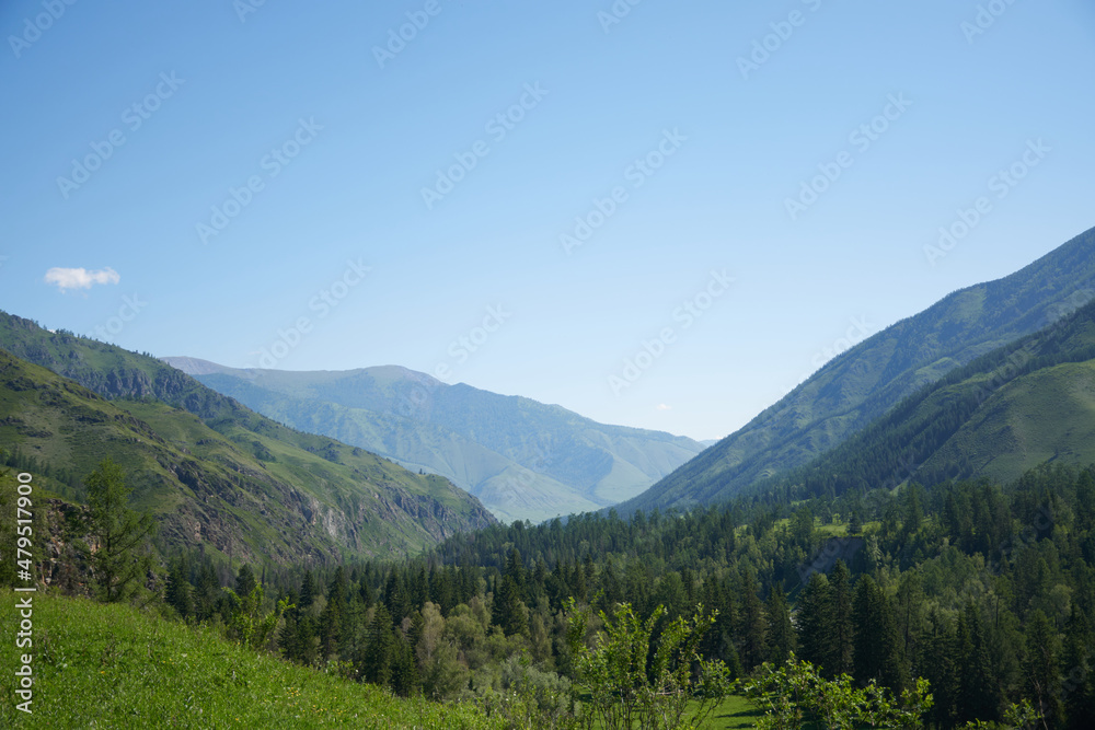 Altai Mountains in summer