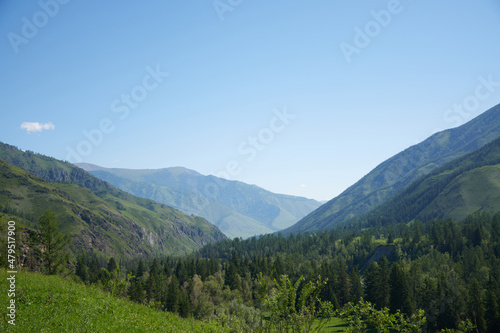 Fototapeta Naklejka Na Ścianę i Meble -  Altai Mountains in summer