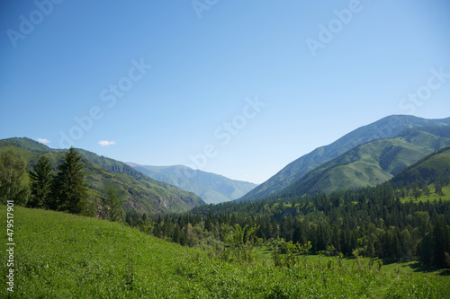 Altai Mountains in Summer