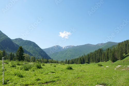 Altai Mountains in summer