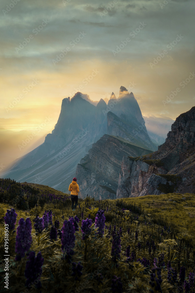 Seceda in the Dolomites, Italy during sunrise