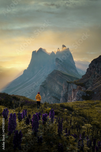 Obraz na płótnie Seceda in the Dolomites, Italy during sunrise w salonie