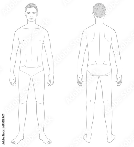 男性の身体、正面と背面の全身、メディカルイラスト