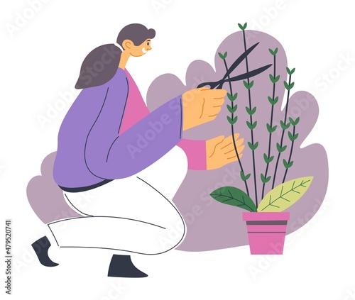 Woman gardening and trimming bushes of flower