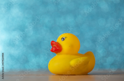 yellow duck on blue background © Erika