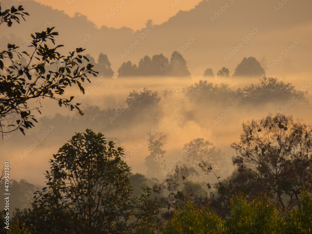 Amazing Sunrise Over Misty Landscape. Scenic View Of Foggy Morning Sky With Rising Sun Above Misty Forest Amazing Sunrise Over Misty Landscape. Scenic View Of Foggy Morning Sky With Rising Sun Above Misty Forest