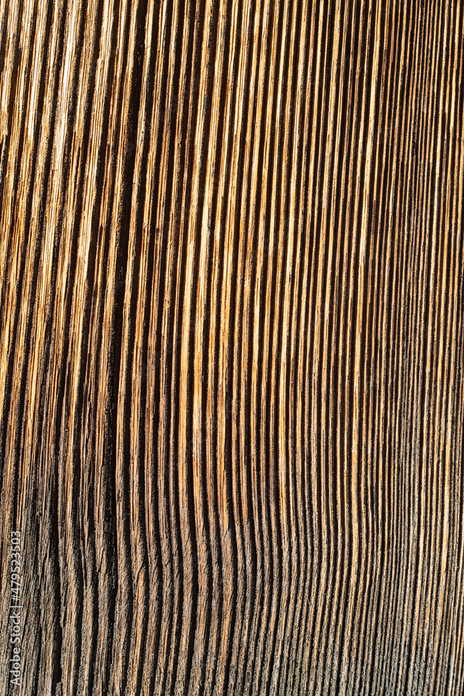 texture of wood with very marked veins. lines in the same direction. antique wooden plank. vintage background. texture of wood with very marked veins. lines in the same direction. antique wooden plank. vintage background.