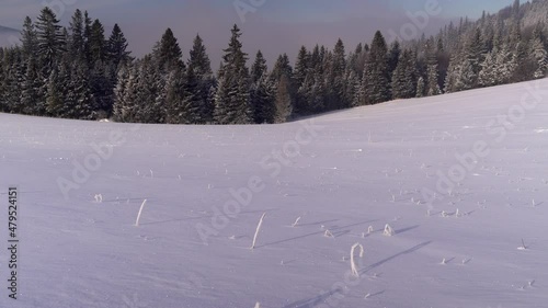 Static medium shot of open frozen snow field with trees and clouds in distance photo