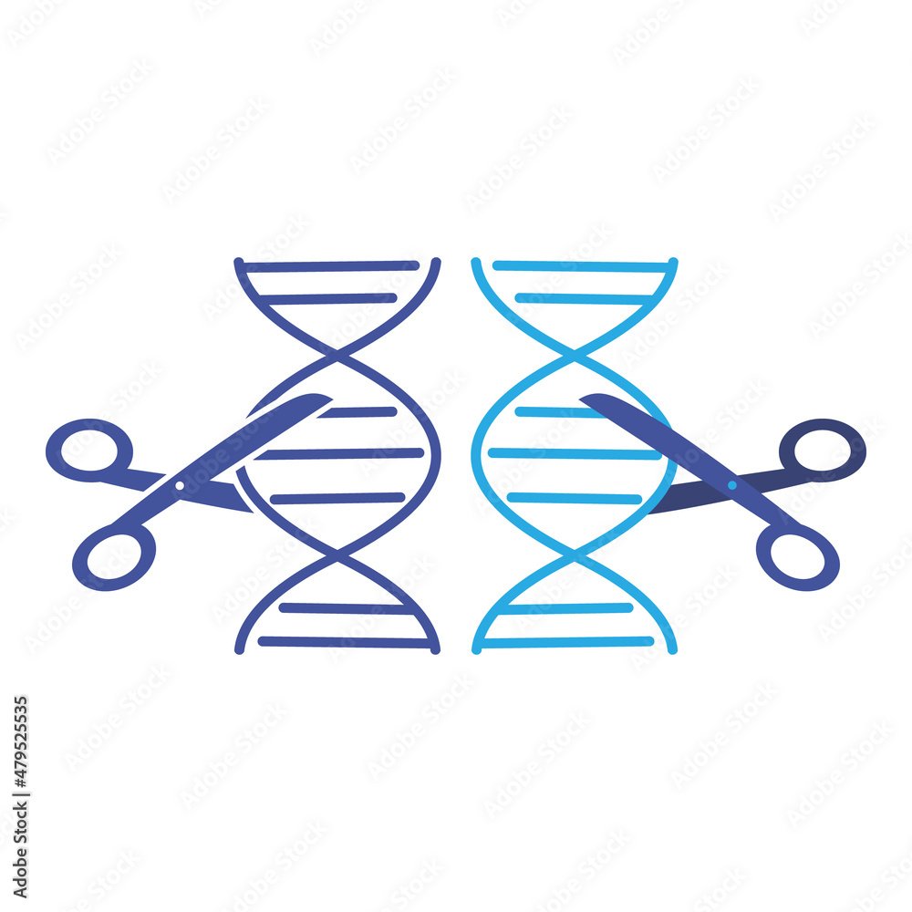 Schematic representation of DNA and scissors. Scissors cutting