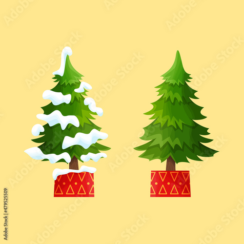 Christmas set. Fir-trees standing in bright red boxes. 2 Christmas trees, one snowy. The isolated image on a white background. Vector illustration in cartoon style.
