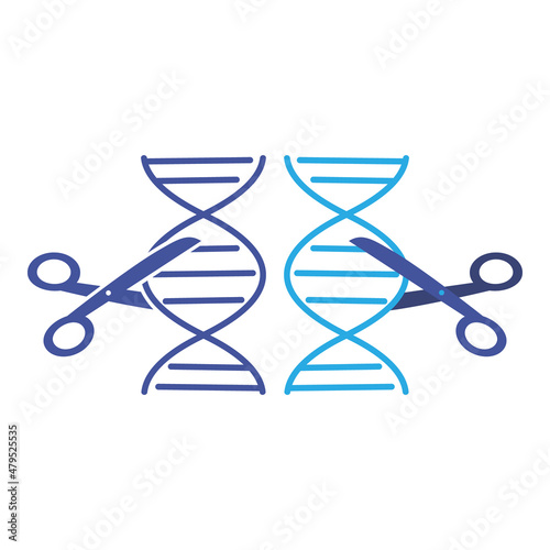 Schematic representation of DNA and genetic scissors. Scissors cutting the DNA strand. Flat vector illustration. 