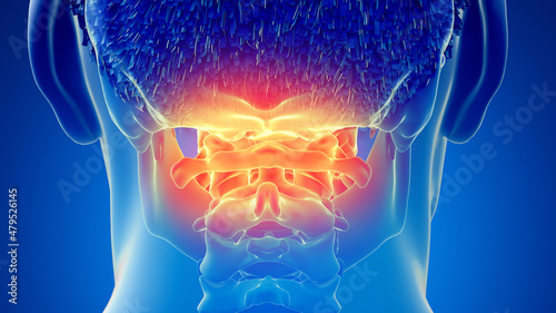 Foto 3d rendered illustration of a painful atlas bone