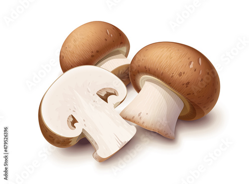 Champignon. Whole and half mushroom, Isolated on white background. Eps10 vector illustration.