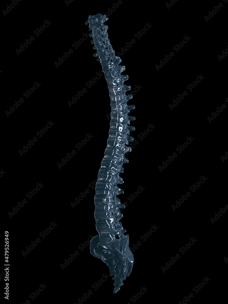 3d rendered illustration of a glass spine