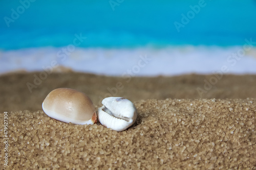 Sea shell in the sand on the background of beach and sea. Concept of relaxation and tropical paradise